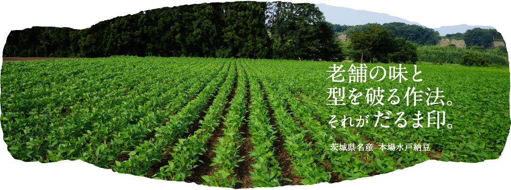 老舗の味と型を破る作法。それがだるま印。茨城県名産  本場水戸納豆