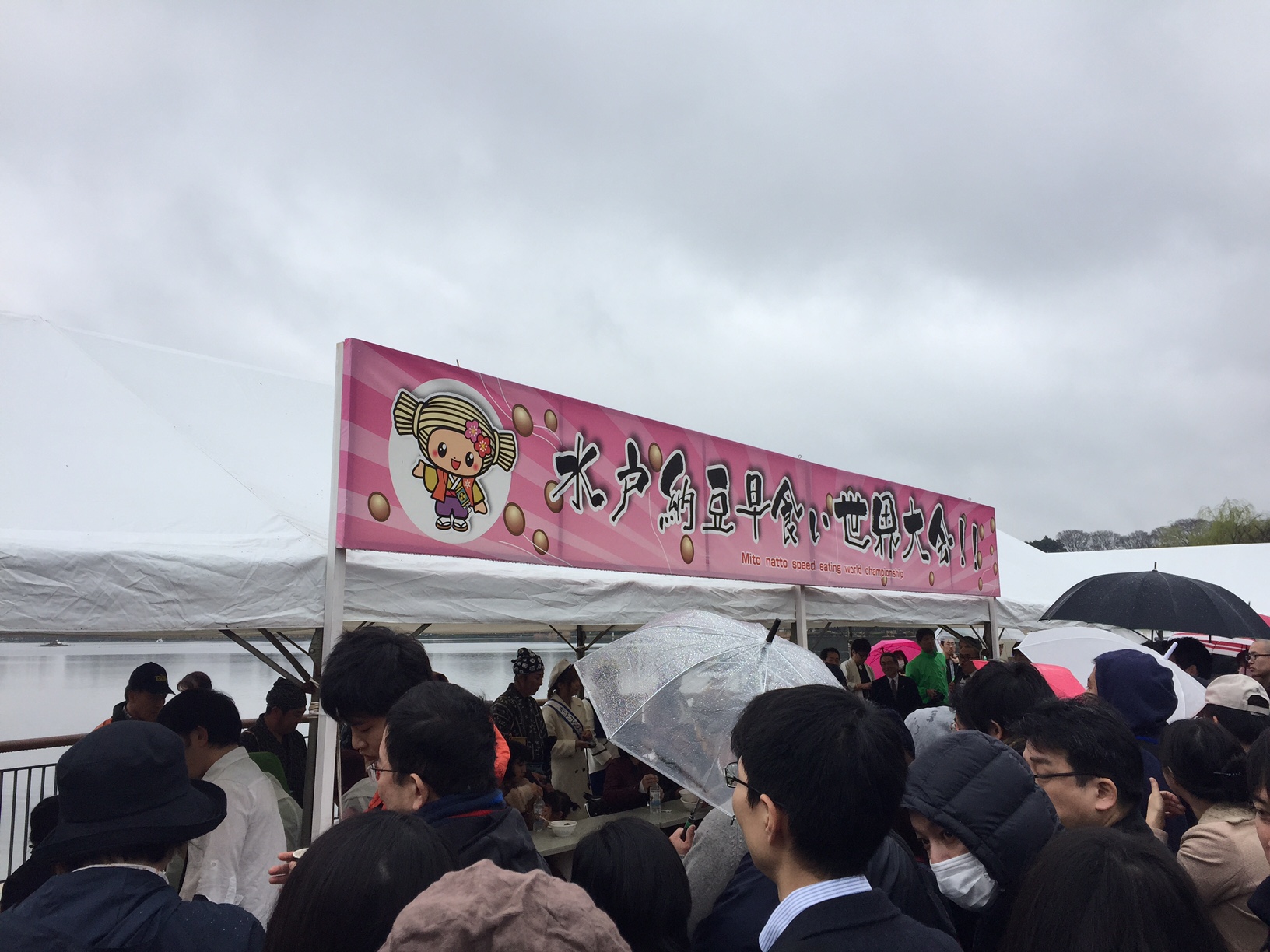 第15回 水戸納豆早食い世界大会開催